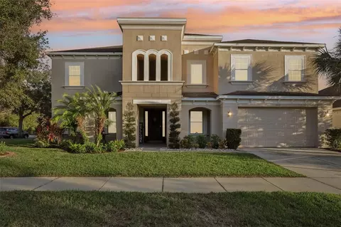 11113 Coventry Grove Cir, Lithia, FL 33547