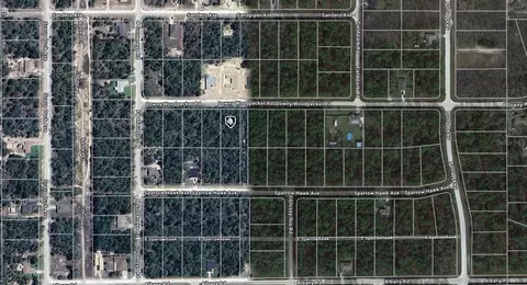 13014 Downy Woodpecker Rd, Weeki Wachee, FL 34614