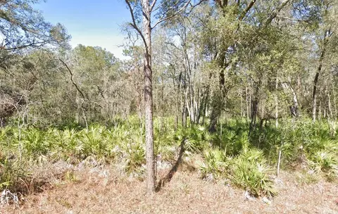 lot17 Overcup Dr, Webster, FL 33597