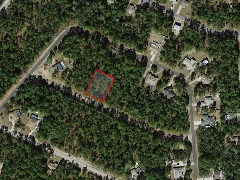 3691 W Norwick Pl, Citrus Springs, FL 34433