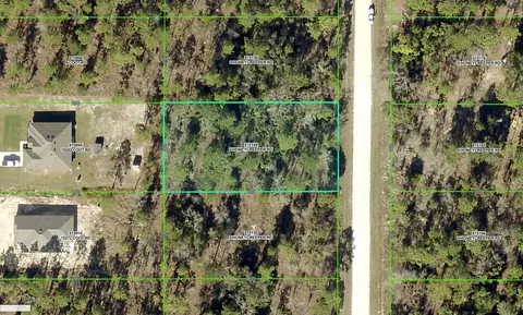 Honeycreeper Road, Brooksville, FL 34614