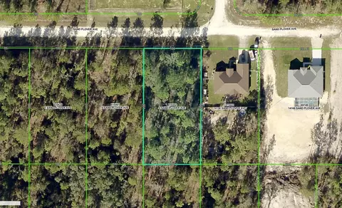 Sand Plover Avenue, Brooksville, FL 34614