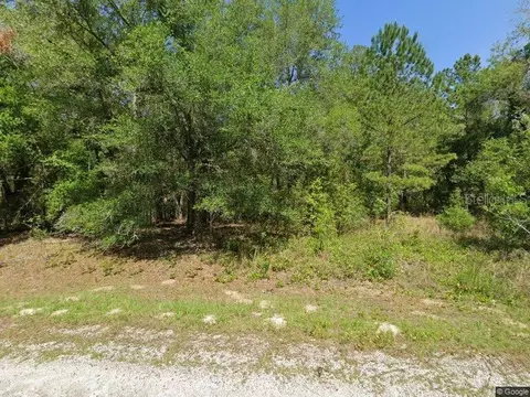 1525 E Badger Dr, Dunnellon, FL 34434