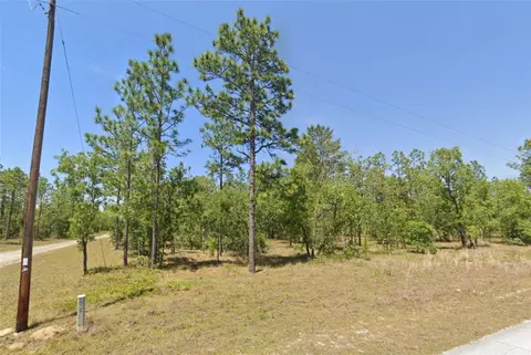 0 SE 133rd Ave, Dunnellon, FL 34431