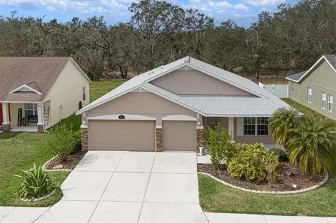 3911 Douglas Hill Pl, Parrish, FL 34219
