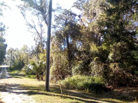 SE 65 Terrace, Summerfield, FL 34491