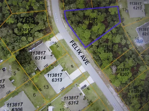 Felix Avenue, North Port, FL 34288