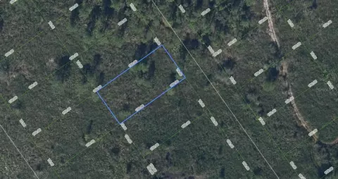 608 Kennedy St, Lake Placid, FL 33852