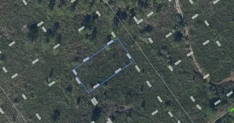 606 Kennedy St, Lake Placid, FL 33852