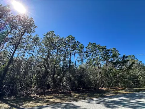 6096 W Ponderosa Pl, Beverly Hills, FL 34465