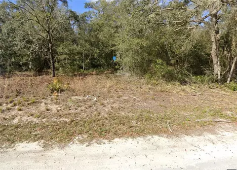 34225 Shaffer Dr, Dade City, FL 33523