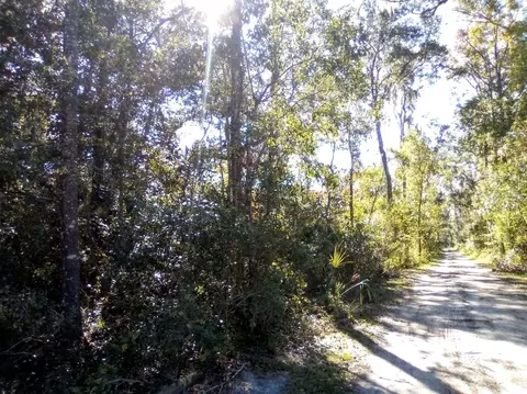 SE 65 Avenue, Summerfield, FL 34491