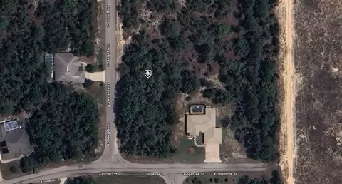 3 Fringetree Ct, Homosassa, FL 34446