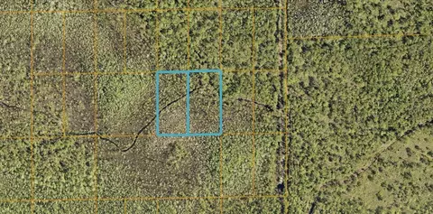 Inaccessible Track, Deland, FL 32724