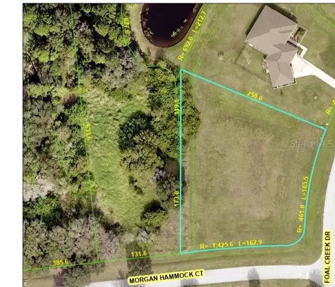 Morgan Hammock Court, Parrish, FL 34219