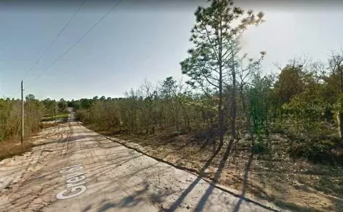 107 Grey St, Interlachen, FL 32148