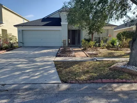 13338 Evening Sunset Ln, Riverview, FL 33579 photo 1