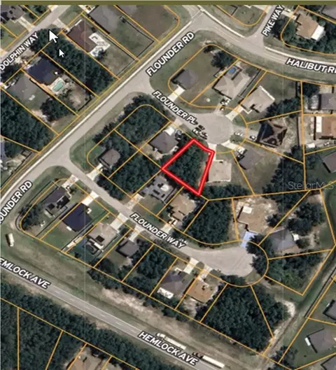 204 Flounder Pl, Kissimmee, FL 34759