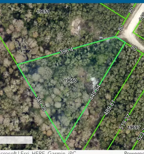 medicine stone drive LOT 9, Webster, FL 33597