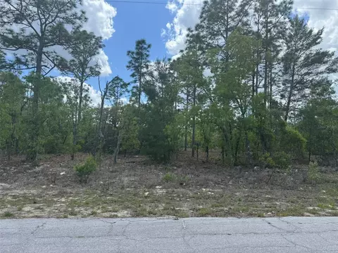 2984 W Liza Pl, Dunnellon, FL 34433