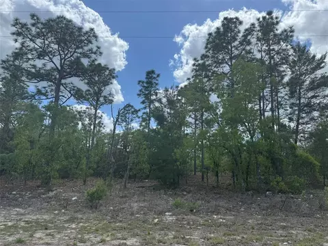 3000 W Liza Pl, Dunnellon, FL 34433