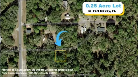 tbd NE 141st Ln, Fort Mc Coy, FL 32134