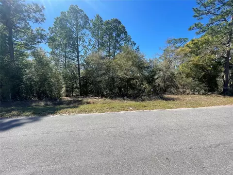 lot17 Malauka Loop, Ocklawaha, FL 32179