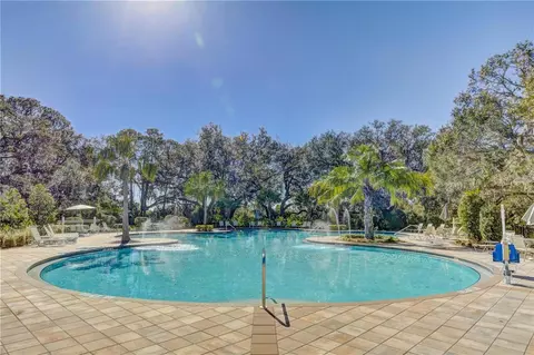 Exterior - 9725 Last Light Gln, Parrish, FL 34219 photo 8 of 10