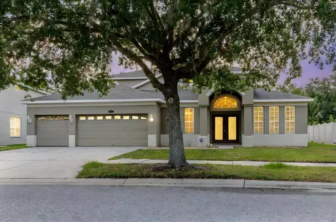 20316 Natures Corner Dr, Tampa, FL 33647