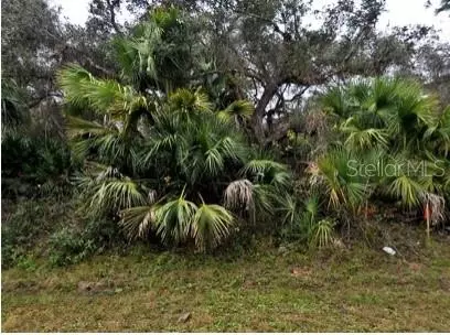 Babroff Terrace, North Port, FL 34291