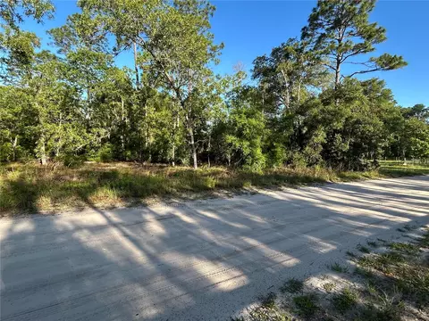 NE 139th Avenue, Williston, FL 32696