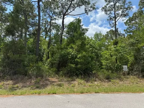 lot79 Waterbird Way, Brooksville, FL 34613