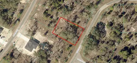 9038-1243 22 Fisher Lane Way, Ocklawaha, FL 32179