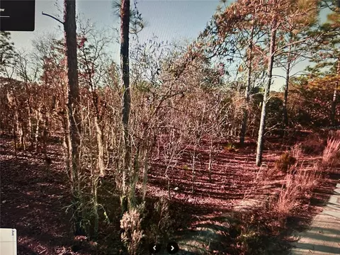 tbd NE 97th Ct, Bronson, FL 32621 photo 2