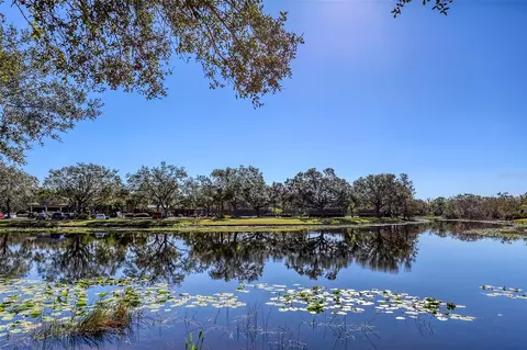View/Area - 7717 Us Open Loop, Lakewood Ranch, FL 34202 photo 3 of 13