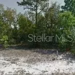 3513 W Marshal Pl, Dunnellon, FL 34433