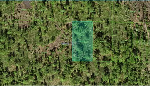 31-32 11-000000-022010 River Ranch Blvd, Lake Wales, FL 33898