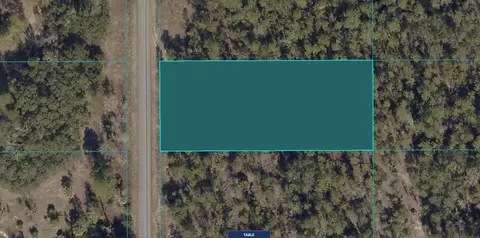 1811-016 SW 025 Sw Little Cliffs Dr, Dunnellon, FL 34431