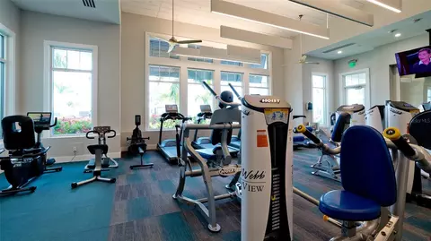 View/Area - 8760 Ocean Tides Cv, Parrish, FL 34219 photo 5 of 8