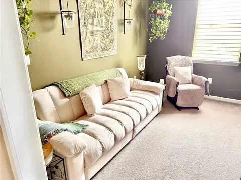 Other - 8760 Ocean Tides Cv, Parrish, FL 34219 photo 1 of 6