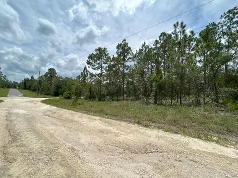 lot6 NE 152nd Ct, Williston, FL 32696