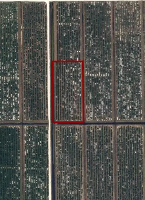 NE Highway 70, Arcadia, FL 34266