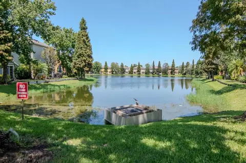 View/Area - 8880 Moonlit Meadows Loop, Riverview, FL 33578 photo 1 of 2