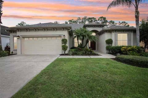 3500 Grassglen Pl, Wesley Chapel, FL 33544