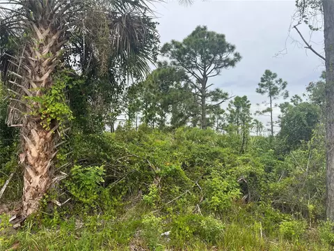 8185 Dimstead St, Port Charlotte, FL 33981