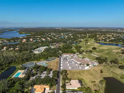 View/Area - 11420 Savannah Lakes Dr, Parrish, FL 34219 photo 5 of 9