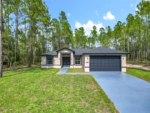 1599 W G Martinelli Blvd, Citrus Springs, FL 34434