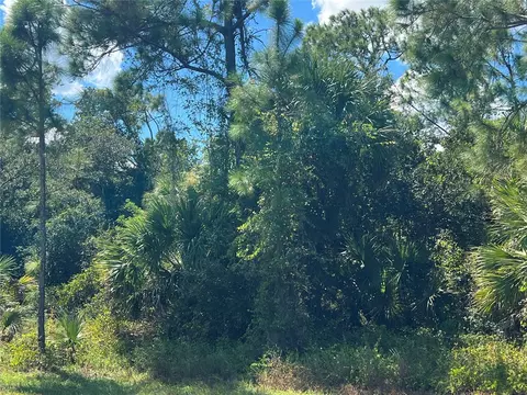 299 Troutdale St, Port Charlotte, FL 33954