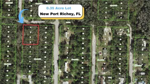茶 ari*san 34654, FL Real Estate & Homes for Sale | Redfin