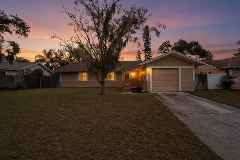 8407 Caladesi Island Dr, Temple Terrace, FL 33637
